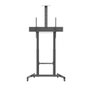Ewent EW1591 Soporte de Suelo para TV de hasta 100 Pulgadas con Ruedas y Ajuste de Altura