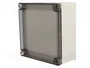 FIBOX MNX Carcasa Universal de Policarbonato Gris 130x130x60mm