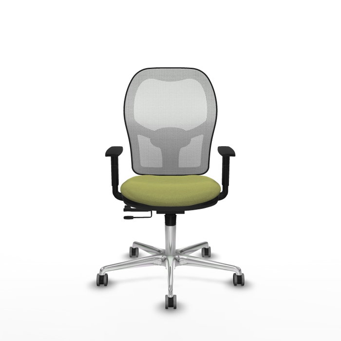 PIQUERAS Y CRESPO Silla de oficina Jorquera Verde Oliva con Malla Blanca