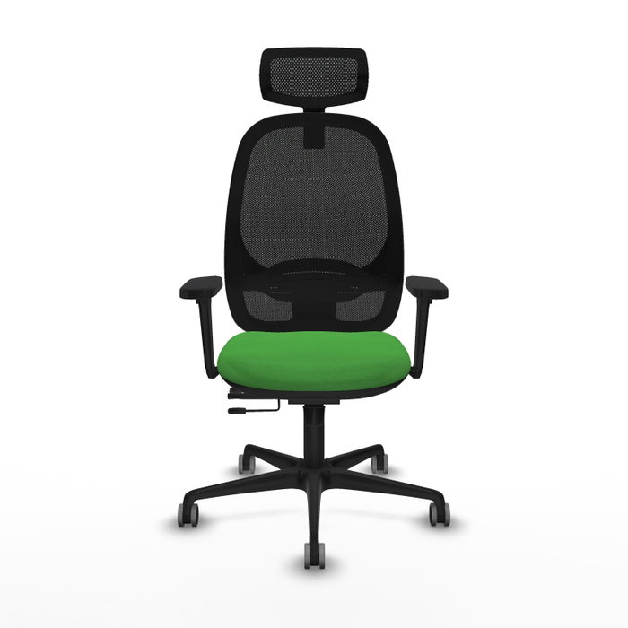 PIQUERAS Y CRESPO Silla de oficina Cilanco con mecanismo Sincro/Traslack, Verde y Negro PIQUERAS Y CRESPO Silla de oficina Cilanco con mecanismo Sincro/Traslack, Verde y Negro