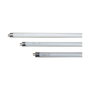 Edm Tubo fluorescente 15W luz actínica mata insectos T8 Azul