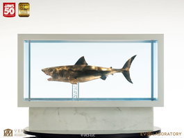 Tiburón Maqueta 1/18 Jaws Bronze 60 cm