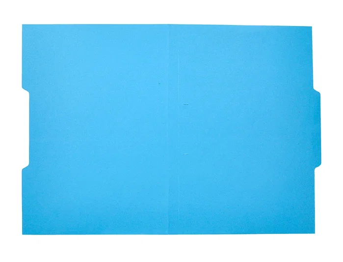 Liderpapel Subcarpeta de cartulina con pestaña central azul Folio