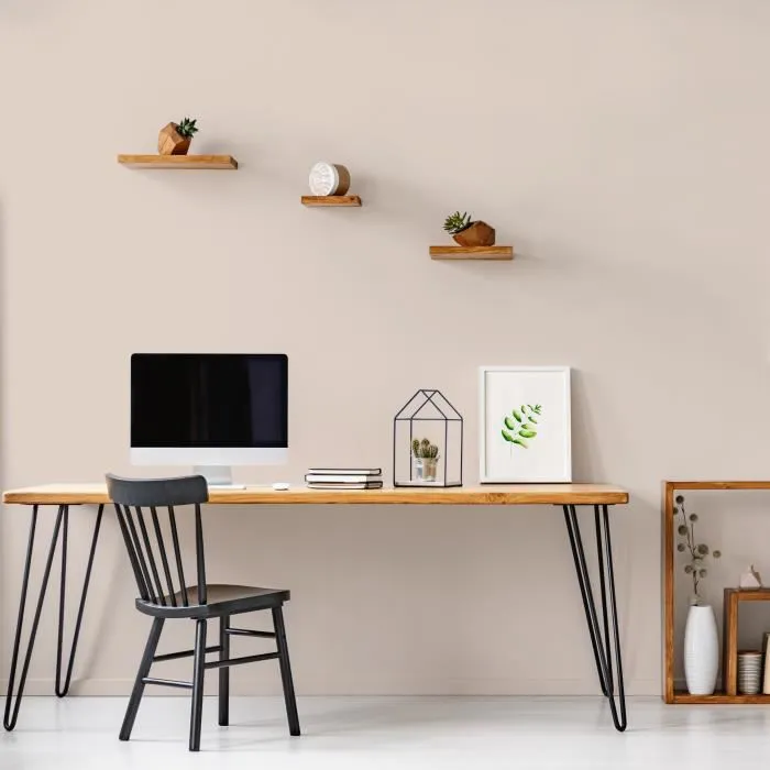 Ripolin RIP3174264684256 Pintura Decoración de Paredes, Carpintería y Radiadores, Efecto Terciopelo Café con Leche, 2.5 L