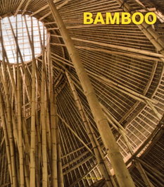 BAMBOO, Schleifer Simone - KOENEMANN