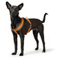 Hunter Arnés London Comfort Pecho 39-47 cm XS-S Naranja Poliéster Ajustable Suave
