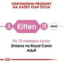 Royal Canin Feline Kitten Instinctive en salsa 12x85g