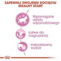 Royal Canin Feline Kitten Instinctive en salsa 12x85g