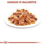 Royal Canin Feline Kitten Instinctive en salsa 12x85g