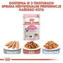 Royal Canin Feline Kitten Instinctive en salsa 12x85g