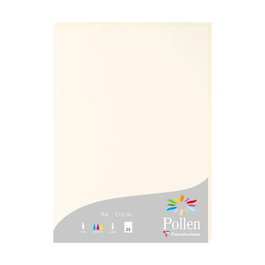 Papel Clairefontaine Pollen A4 210G 25H Blanco Natural