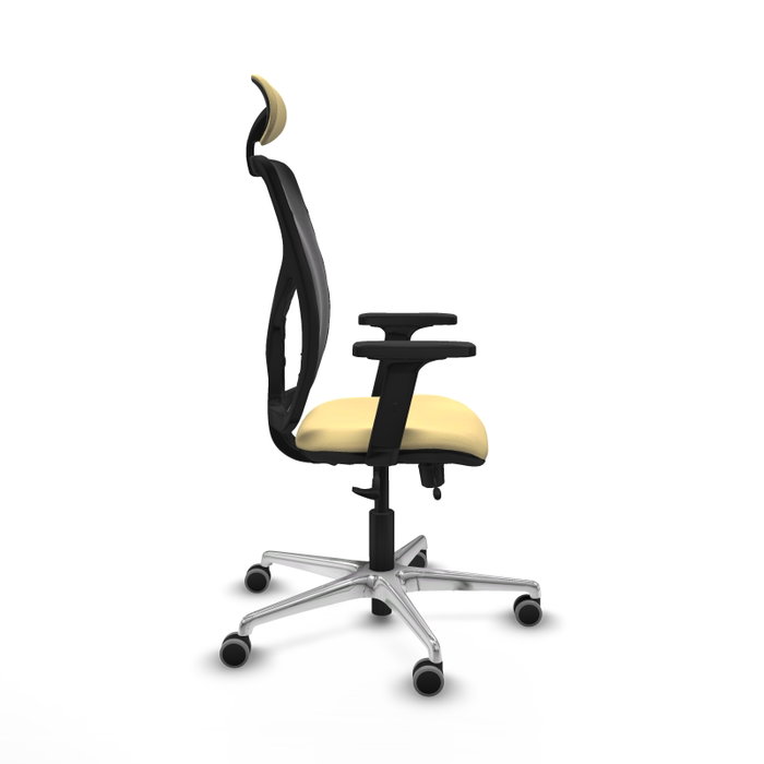 PIQUERAS Y CRESPO Silla de oficina Motilla con Mecanismo Sincro/Traslack, Crema y Negro PIQUERAS Y CRESPO Silla de oficina Motilla con Mecanismo Sincro/Traslack, Crema y Negro