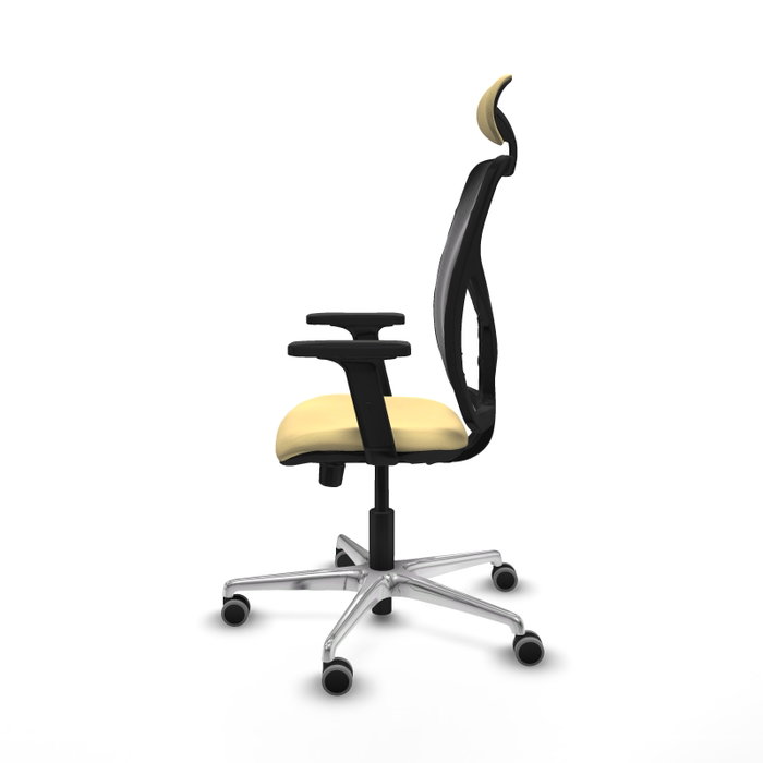PIQUERAS Y CRESPO Silla de oficina Motilla con Mecanismo Sincro/Traslack, Crema y Negro PIQUERAS Y CRESPO Silla de oficina Motilla con Mecanismo Sincro/Traslack, Crema y Negro