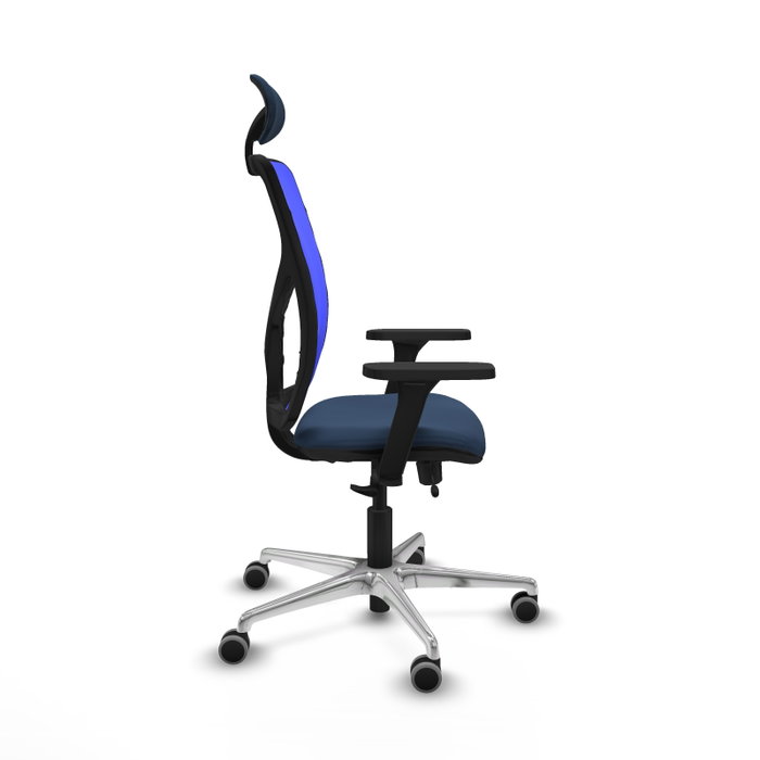 PIQUERAS Y CRESPO Silla de oficina Motilla con mecanismo Sincro/Traslack, Azul marino y Azul PIQUERAS Y CRESPO Silla de oficina Motilla con mecanismo Sincro/Traslack, Azul marino y Azul