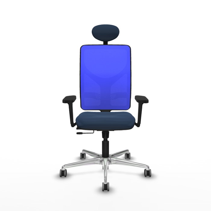 PIQUERAS Y CRESPO Silla de oficina Motilla con mecanismo Sincro/Traslack, Azul marino y Azul PIQUERAS Y CRESPO Silla de oficina Motilla con mecanismo Sincro/Traslack, Azul marino y Azul