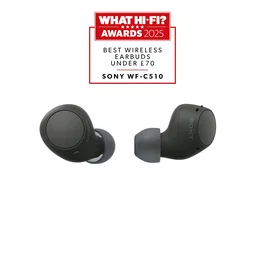 Sony WF-C510 Auriculares True Wireless Negro
