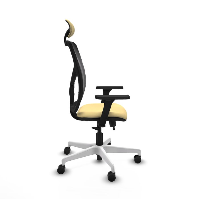 PIQUERAS Y CRESPO Silla de oficina Motilla con mecanismo Sincro/Traslack, Crema y Negro PIQUERAS Y CRESPO Silla de oficina Motilla con mecanismo Sincro/Traslack, Crema y Negro