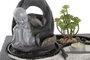 DKD Home Decor Fuente Oriental Buda Resina LED Negro Gris 2 Unidades 21 x 23 x 29 cm