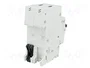 ABB S200 S202-C25 Interruptor magnetotérmico 2 polos 25A 6kA
