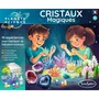 Sentosphere AAAYK90151 Cristales Mágicos - Colección de Minerales con 10 Experimentos de Cristalización para Niños a Partir de 8 Años
