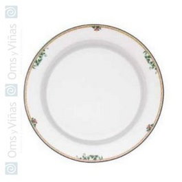 Adriana Perugia Plato Llano 29