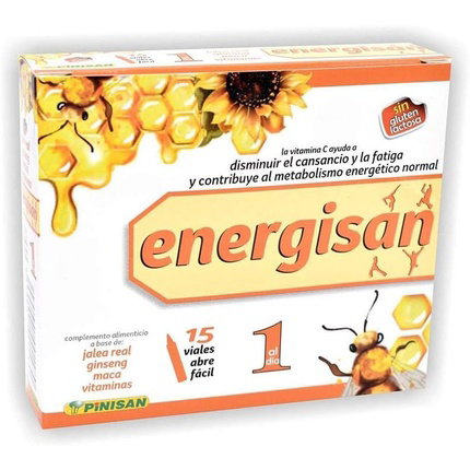 PINISAN Energisan 15 Viales