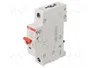 ABB SD200 Interruptor de aislamiento 1 polo 32A 253VAC