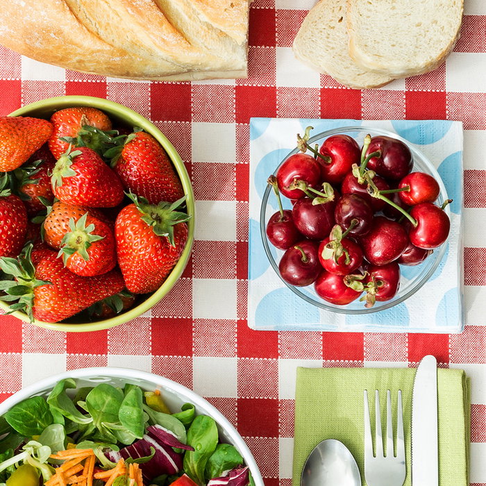 Cook Concept Mantel de Picnic Vichy Rojo y Blanco Impermeable 150x130 cm