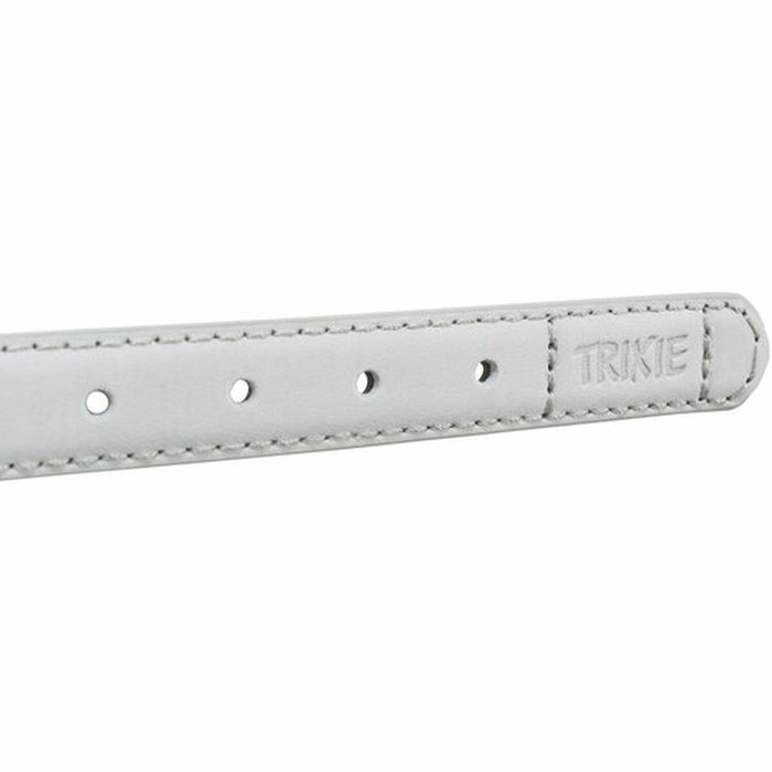 Collar para Perro Trixie BE NORDIC Gris claro S 35 cm Collar para Perro Trixie BE NORDIC Gris claro S 35 cm
