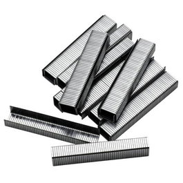 Future Grapas Rectas 8mm-5/16 pulg 1000 unidades Modelo A