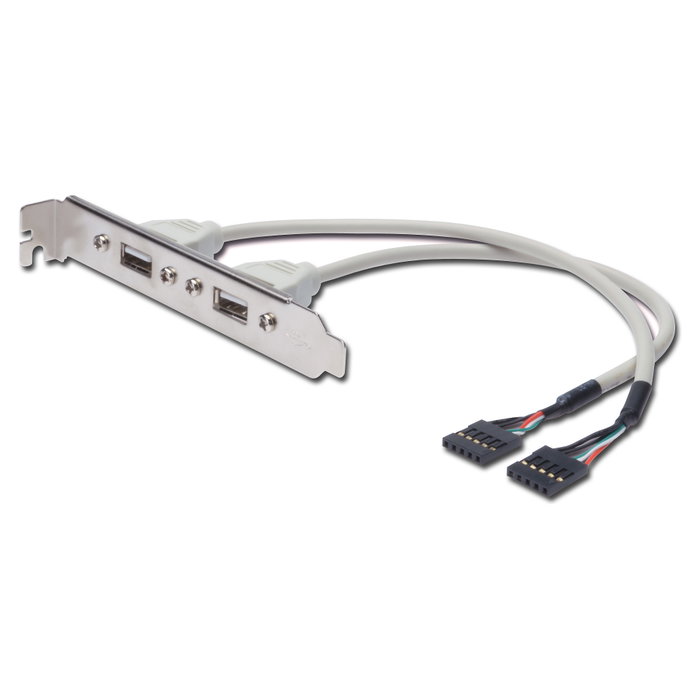 Digitus Cable de soporte de ranura 2x USB Tipo A a 2x 5pin IDC F/F 0,25 m Digitus Cable de soporte de ranura 2x USB Tipo A a 2x 5pin IDC F/F 0,25 m