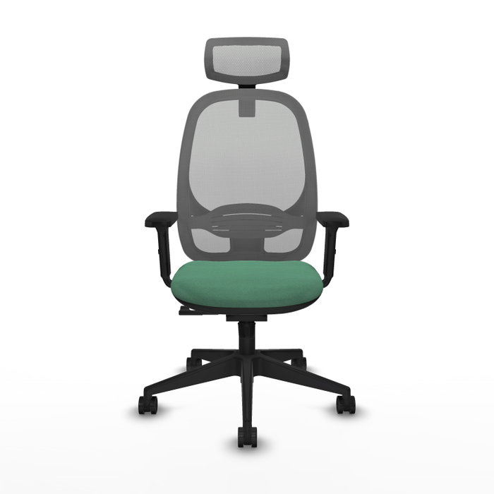 PIQUERAS Y CRESPO Silla de oficina Cilanco con mecanismo Sincro Verde esmeralda y Gris PIQUERAS Y CRESPO Silla de oficina Cilanco con mecanismo Sincro Verde esmeralda y Gris