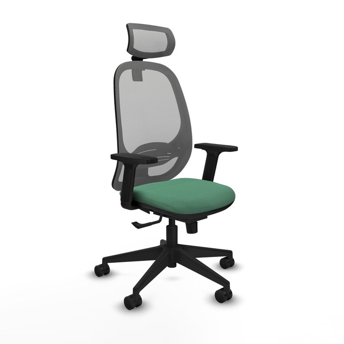 PIQUERAS Y CRESPO Silla de oficina Cilanco con mecanismo Sincro Verde esmeralda y Gris PIQUERAS Y CRESPO Silla de oficina Cilanco con mecanismo Sincro Verde esmeralda y Gris