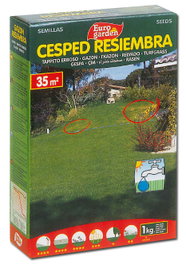 EUROGARDEN Semillas Fito Césped Resiembra 1kg
