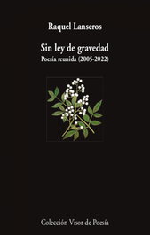 VISOR EDITORIAL, Sin ley de gravedad, Raquel Lanseros - VISOR EDITORIAL
