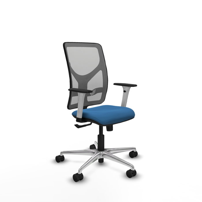PIQUERAS Y CRESPO Silla de oficina Motilla con mecanismo Sincro Azul claro y Gris PIQUERAS Y CRESPO Silla de oficina Motilla con mecanismo Sincro Azul claro y Gris