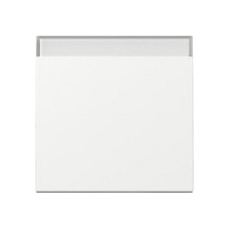 GIRA 329903 Wippe BSF System 55 Blanco GIRA 329903 Wippe BSF System 55 Blanco