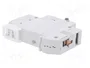 ETI POLAM Interruptor magnetotérmico ETIMAT 6 1P D 2A 6kA