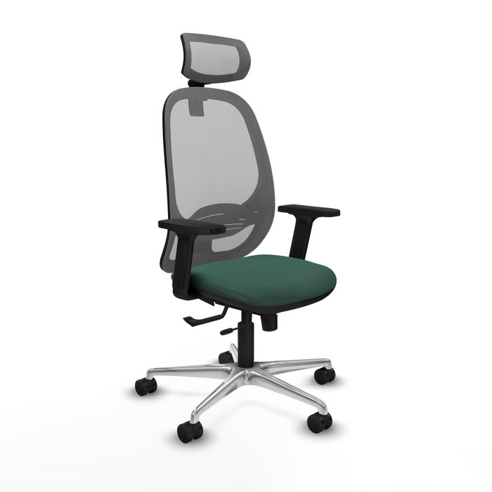 PIQUERAS Y CRESPO Silla de oficina Cilanco con mecanismo Sincro/Traslack Verde botella y Gris PIQUERAS Y CRESPO Silla de oficina Cilanco con mecanismo Sincro/Traslack Verde botella y Gris
