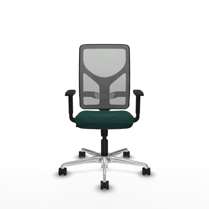 PIQUERAS Y CRESPO Silla de oficina Motilla con mecanismo Sincro, Verde botella y Gris PIQUERAS Y CRESPO Silla de oficina Motilla con mecanismo Sincro, Verde botella y Gris