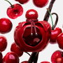 Nina Ricci Nina Rouge Crush - Perfume de Mujer EDP en Vaporizador - Fragancia Vegana con 89% Ingredientes Naturales - 50 ml