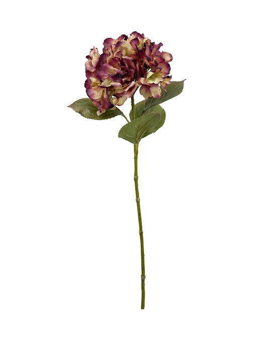 Oplante Flor Artificial Vara de Hortensia Dry Lila Burdeos Tela 68 cm de Alto Oplante Flor Artificial Vara de Hortensia Dry Lila Burdeos Tela 68 cm de Alto