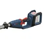 Bosch Professional GKE 18V-25 TP Podadora de Pértiga a Batería 18V (23 cm, 7.70 m/s) sin Batería