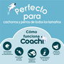 Juguete de adiestramiento Coachi CHASE & TREAT Azul