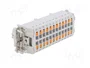 LAPP Conector HDC EPIC H-BE Hembra 24 Pines