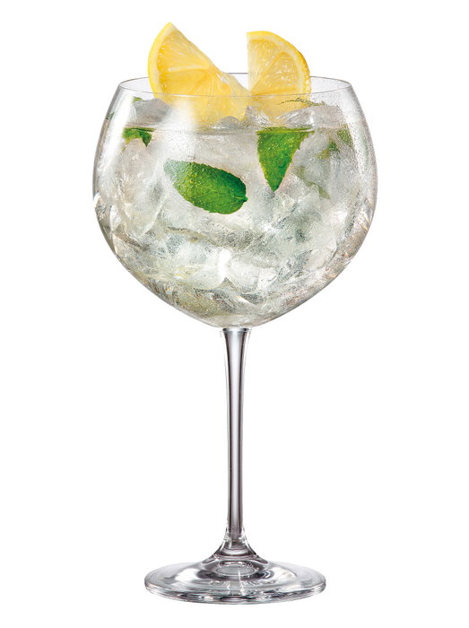 Inde Set de 4 Copas de Gin Bohemia Colección Enebro (2 Cajas)
