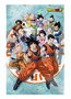 Sd toys Póster 3D Dragon Ball Super Universe Survival 58x38 cm PVC Lenticular Oficial