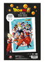 Sd toys Póster 3D Dragon Ball Super Universe Survival 58x38 cm PVC Lenticular Oficial