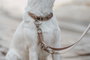 Hunter Correa Ajustable Inari 200 cm Beige