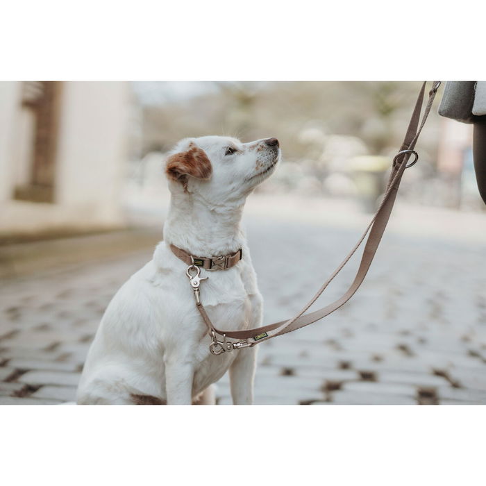 Hunter Correa Ajustable Inari 200 cm Beige Hunter Correa Ajustable Inari 200 cm Beige